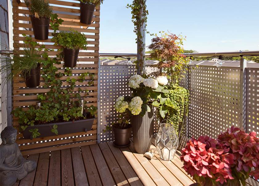 Mycket grönt och blommor på balkongen hemma hos Malmborg